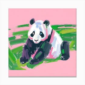 Giant Panda 02 Canvas Print