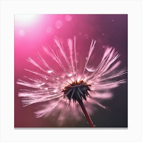 Pink Light through Dandelion  Canvas Print