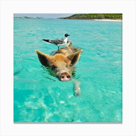 Pig In The Water Canvas Print