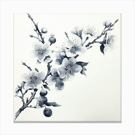 Ink Cherry Blossoms Branches 11 Canvas Print