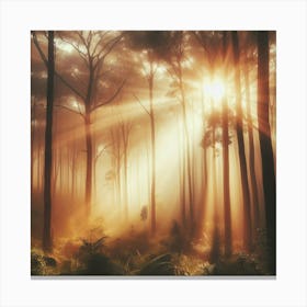 Sunrise In The Forest 1 Canvas Print