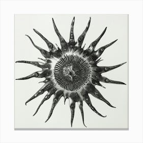 Octopus Sun Canvas Print