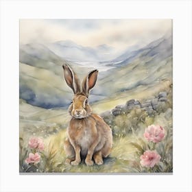 Hare Sits Amongst the Alpines in Scotland Canvas Print