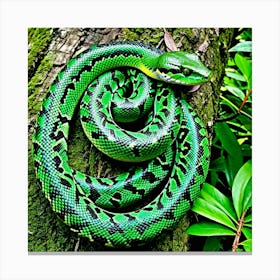 Green Python 2 Canvas Print