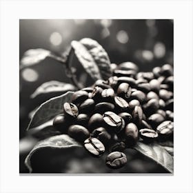 Coffee Beans 43 Canvas Print