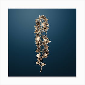 Gold Botanical Cuspidate Rose on Dusk Blue Canvas Print