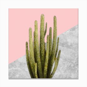 Cactus on Pink and Grey Marble Wall Canvas Print
