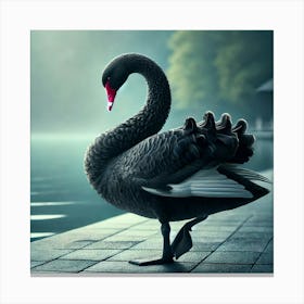 Black Swan Canvas Print