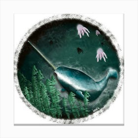 Narwhal/Narvale Canvas Print