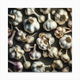 Garlic Cloves On Black Background 1 Canvas Print