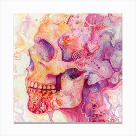 Skull Painting 14 Canvas Print