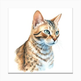 Cashmere Bengal Cat Portrait 1 Canvas Print