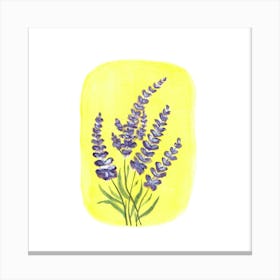 Lavender Flowers Canvas Print