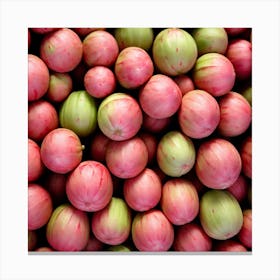 Guavas Canvas Print