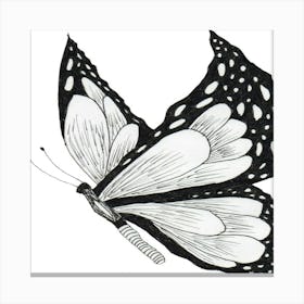 Butterfly Canvas Print