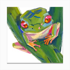 Red Eyed Tree Frog 07 Canvas Print