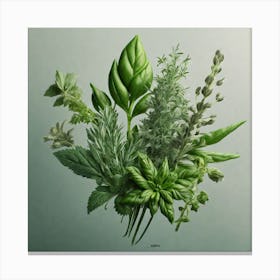 Fresh Herbs Canvas Print Canvas Print