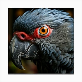 Portrait Of A Parrot 1 Canvas Print