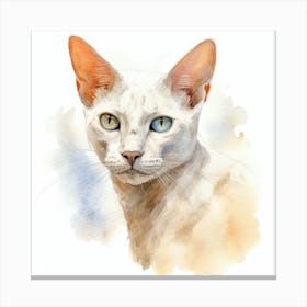 Burmilla Cat Portrait 2 Canvas Print