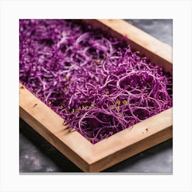 Purple Sprouts In Wooden Tray Canvas Print