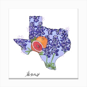 Texas - Illustrated States Canvas Print