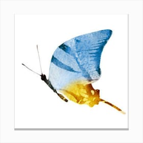 Butterfly Canvas Print