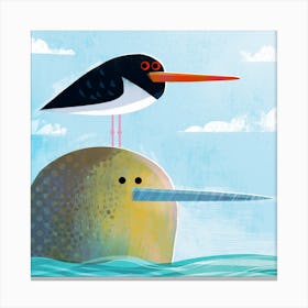 Narwhal with Pesky Oystercatcher Canvas Print