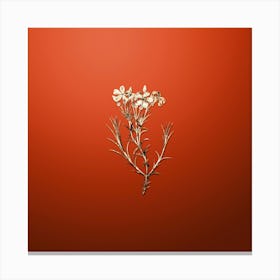 Gold Botanical Shewy Phlox Flower Branch on Tomato Red n.4054 Canvas Print