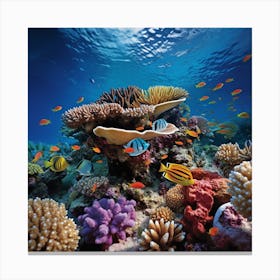 Coral Reef Canvas Print