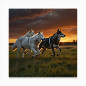 Three Wolves At Sunset Canvas Print