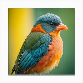 Bird Of Paradise Canvas Print