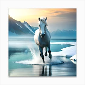 White Horse Is Running In Sea Glaciers.... Canvas Print