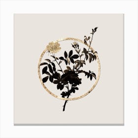 Gold Ring White Downy Rose Glitter Botanical Illustration n.0342 Canvas Print