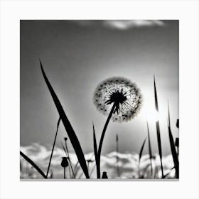 Dandelion 12 Canvas Print