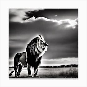 Lion In The Grass Canvas Print