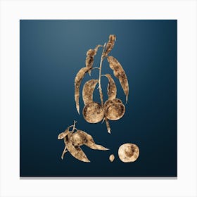 Gold Botanical Walnut Peach on Dusk Blue Canvas Print