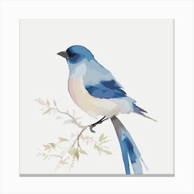 Blue Jay 1 Canvas Print