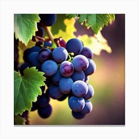Grapes On The Vine 9 Canvas Print