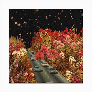 Highway Flowers Square Canvas Print