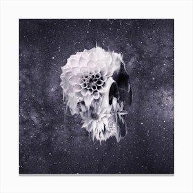 Decay Skull Canvas Print