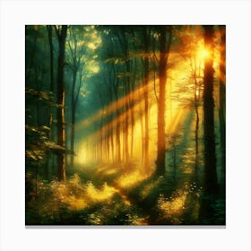 Rays Of Light In The Forest 1 Canvas Print