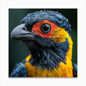 Bird Of Paradise 2 Canvas Print