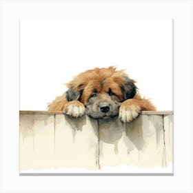 Tibetan Mastiff Dog 1 Canvas Print