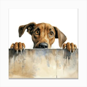 Dog Peeking Over The Wall 30 Canvas Print