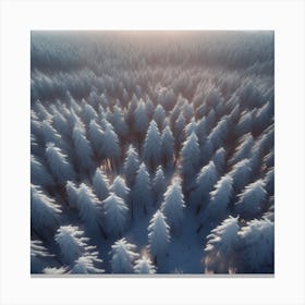 Aerial View Of Snowy Forest 15 Canvas Print