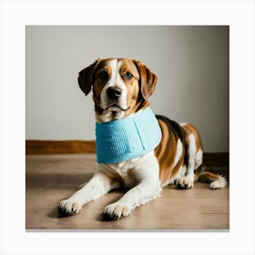 A Photo Of A Dog With A Bandage On Its Leg 4 Canvas Print