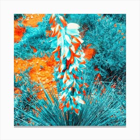 Yucca blooms Canvas Print