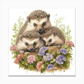 Hedgehogs 8 Stampe su tela