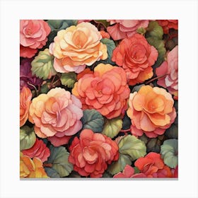 Colorful Of Begonia Square Art Print 0 Canvas Print