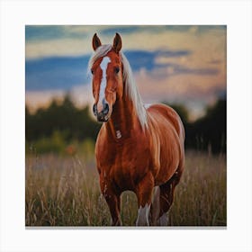 Sunset Horse Canvas Print